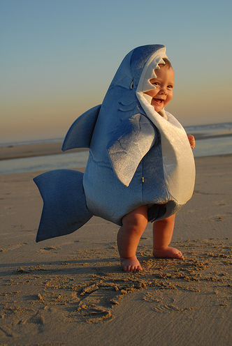 Clic clac foto… bebé tiburón