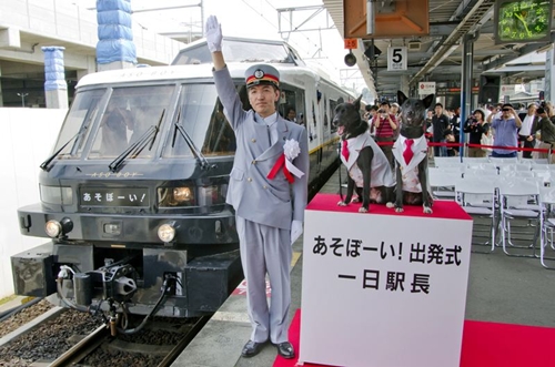 Espacios cool: un tren en Japón para los más pequeños
