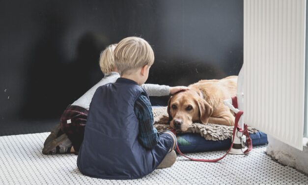 Los beneficios de la relación entre niños y animales de compañía