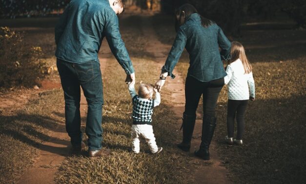 ¿Cuál es el mejor seguro de hogar para una familia con niños?